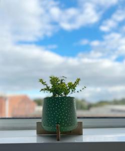 un vase vert avec une plante assise sur un rebord de fenêtre dans l'établissement Cheerful 3 bedroom home with Netflix and Wi-Fi, à Middleton