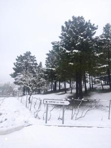 een straatbord in de sneeuw met bomen op de achtergrond bij Casa Rural Cortijo La Tapia in Riópar