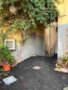 a courtyard with a door and a tree with flowers at Casa Al Vino sul Vesuvio in Pollena Trocchia