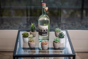 een fles wijn en cactusplanten op een tafel bij The Brera Residence - 140SqM 3Bed2Bath in Milaan