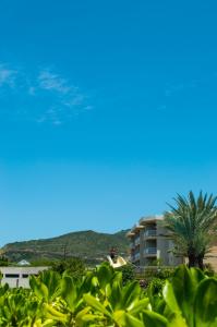 a palm tree and a building with a mountain in the background at LD Suites Punta Playa in Altagracia