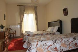 1 dormitorio con 2 camas y ventana en Agrafa, en Kerasea