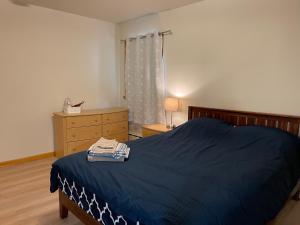 新不倫瑞克的住宿－#3 QueenSize Bed bright room near New Brunswick NJ downtown，一间卧室配有蓝色的床、梳妆台和窗户。
