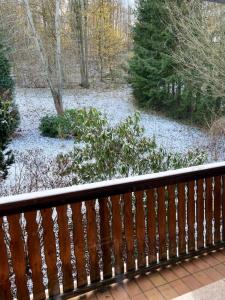 een sneeuwbedekte tuin met bomen en een hek bij LeCiel Maison Lily in Bad Lauterberg