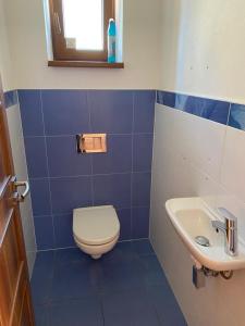 Koupelna v ubytování Vila Smržovka