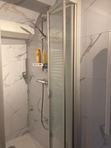 a shower with a glass door in a bathroom at Le Cocon De Notre Dame in Annecy