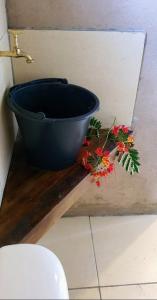 a blue bowl sitting on a shelf next to flowers at EcoMar - Pousada de Experiência in Barra de São Miguel