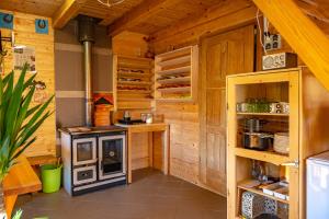 a kitchen with wooden walls and a stove at Apartments Farm House Uric in Jesenice