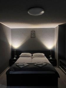 Postel nebo postele na pokoji v ubytování Casa de vacanță Cheșa