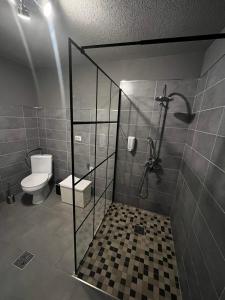 a bathroom with a toilet and a glass shower stall at Casa de vacanță Cheșa in Borsec +18 photos