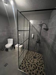 a bathroom with a toilet and a glass shower stall at Casa de vacanță Cheșa in Borsec