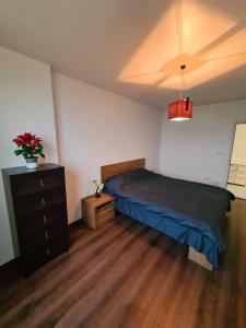 a bedroom with a bed and a dresser at Cozy Apartment in Arad