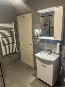 a bathroom with a sink and a mirror at Casa de vacanță Cheșa in Borsec