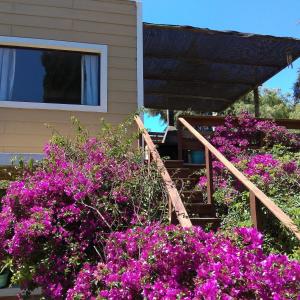 a house with purple flowers in front of it at Villa Anita Piriapolis in Piriápolis