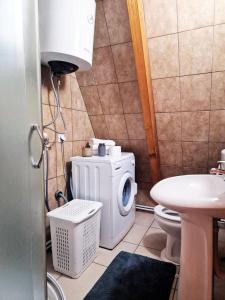 a bathroom with a washing machine and a sink at Green Eye in Žabljak