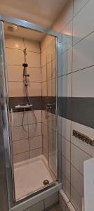 y baño con ducha y puerta de cristal. en studio-centre-Thabor-balcon-1 personne en Rennes