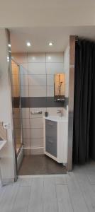 y baño con lavabo y espejo. en studio-centre-Thabor-balcon-1 personne en Rennes