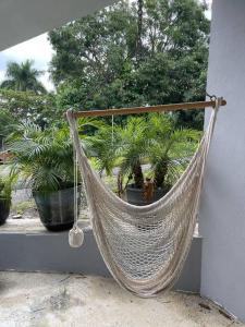 a hammock hanging from a wall next to potted plants at calvache city in Centro Calvache