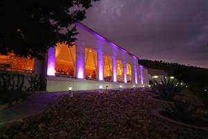 ein Gebäude mit lila Lichtern in der Nacht in der Unterkunft Hotel Baruk Teleférico Centro Histórico in Zacatecas