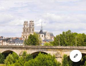 Cosy Loire, T2 neuf, front de Loire ,vue cathédrale,5min à pied centre ville et parking privé في أورليان: جسر أمام مدينة بها مباني