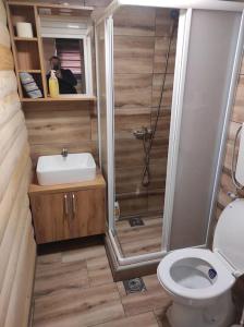 a bathroom with a shower and a toilet and a sink at Homoljski Raj Banja Zdrelo in Ždrelo