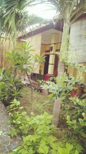 a garden with trees and plants in front of a house at Family bungalow in Gili Meno
