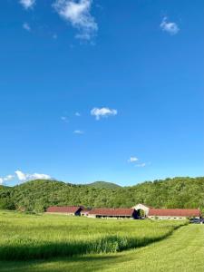 a barn in the middle of a green field at Beatnik Hotel in Bromont