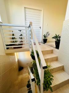 a staircase with a bunch of potted plants at Apartamento encantador em salvador in Salvador