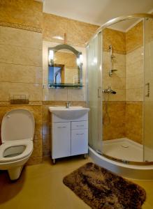 a bathroom with a toilet and a sink and a shower at Willa Laskosia in Murzasichle