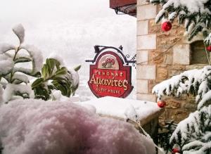 Amanites Guesthouse v zimě