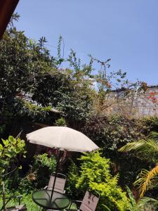 Ảnh trong thư viện ảnh của Calm hostel ở Antigua Guatemala +15 ảnh