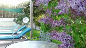 a purple bush with chairs and a table and a tree at Inn at Huntingfield Creek in Rock Hall