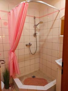 y baño con ducha y cortina de ducha rosa. en Pension Relax-Hvězdička, en Litoměřice