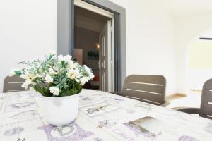 Postel nebo postele na pokoji v ubytování Apartment Lavender