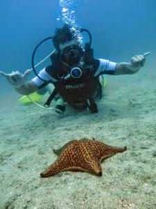 una persona in acqua con una telecamera e una stella marina di Pousada e Mergulho Dolce Vita a Praia Vermelha