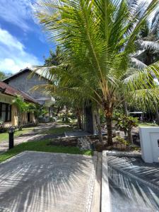 クタにあるKuta Circle Homestayの家の前のヤシの木
