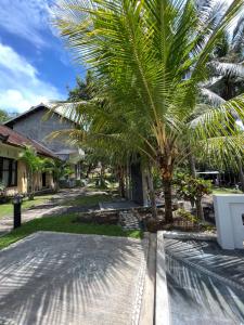 a palm tree in front of a house at Kuta Circle Homestay in Kuta Lombok