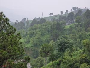 a view of a hill with trees and a river at Srinagar Homes in Muzaffarabad