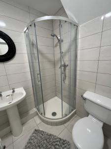 a bathroom with a shower and a toilet and a sink at The D3 Self Catering in Dublin