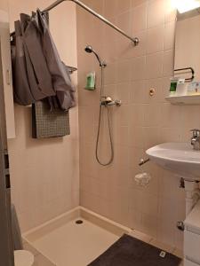 a bathroom with a shower and a sink at Chambre chez Habitant près Aéroport - Palexpo - ONU de Genève in Geneva