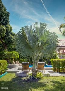 a palm tree with two chairs next to a pool at Filou Studio Butterfly Pool Access 29 66 in Ko Chang