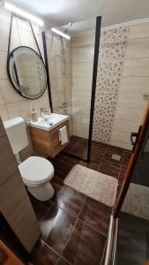 a bathroom with a toilet and a sink and a mirror at Cozy house with nice garden in heart of city center in Cluj-Napoca