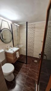 ein Bad mit einem WC, einem Waschbecken und einer Dusche in der Unterkunft Cozy house with nice garden in heart of city center in Cluj-Napoca