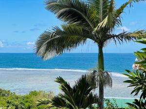 a palm tree on a beach with the ocean at Chalets Bougainville in Takamaka