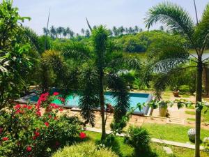 Jardí fora de Eagles Nest Cabanas
