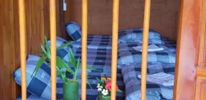 a bunk bed with blue sheets and potted plants at Diễn homestay in Quang Ba