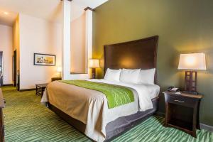 Postel nebo postele na pokoji v ubytování Comfort Inn & Suites Moore - Oklahoma City