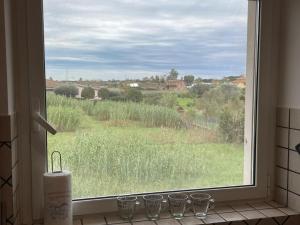 Imagine din galeria proprietății CASA ORCHIDEA în Fiumicino