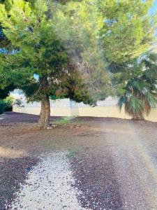 Fotografia z galérie ubytovania Casa de amigos Lomas Del Golf, Orihuela Costa v destinácii San Miguel de Salinas