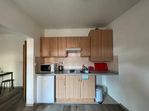 eine Küche mit Holzschränken und einem weißen Kühlschrank in der Unterkunft Modern apartment Krymská & Francouzská street in Prag